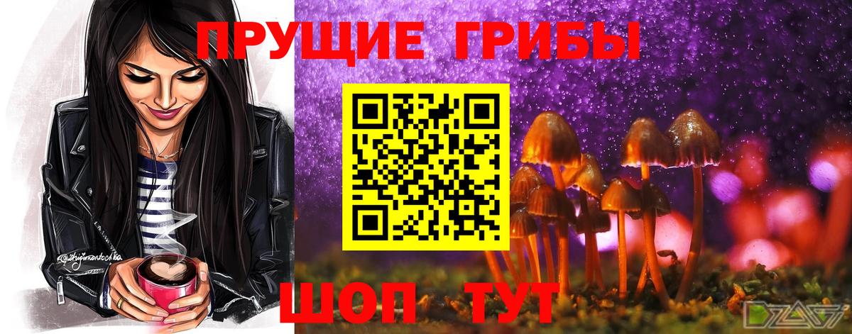 Псилоцибиновые грибы Psilocybe Энгельс