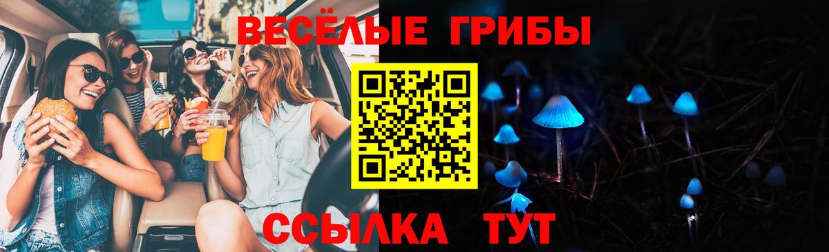 Энгельс  Галлюциногенные грибы прущие грибы  Псилоцибиновые грибы GOLDEN TEACHER  Вход с VPN 