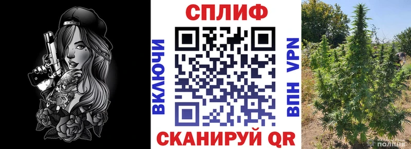Конопля Ganja  Энгельс 